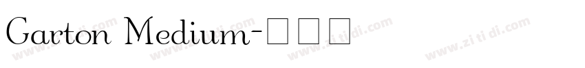 Garton Medium字体转换